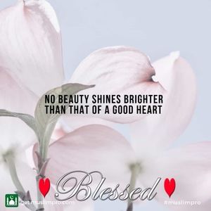 Meet your Posher, Rasheedah